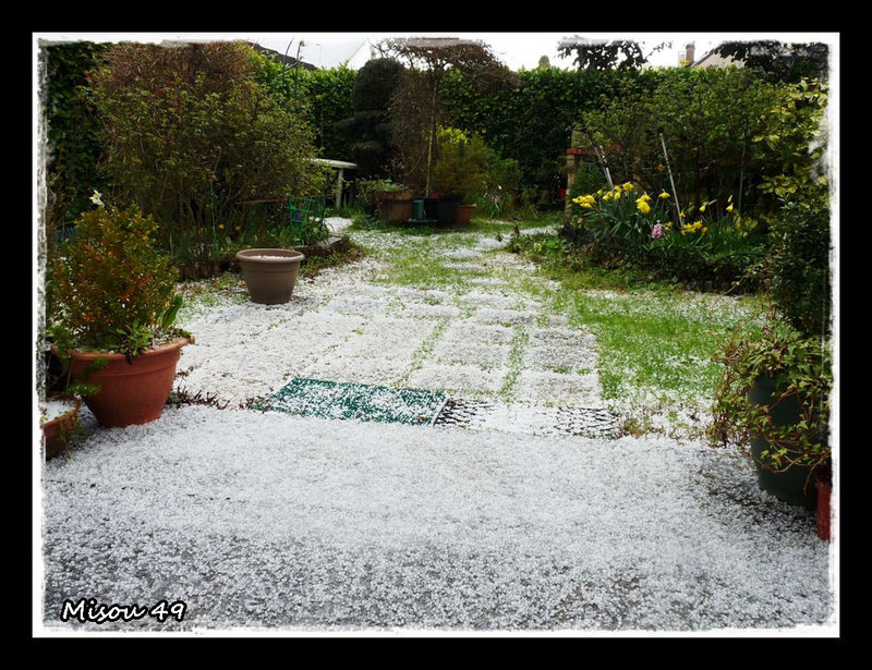 MON JARDIN