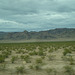 grand canyon 146