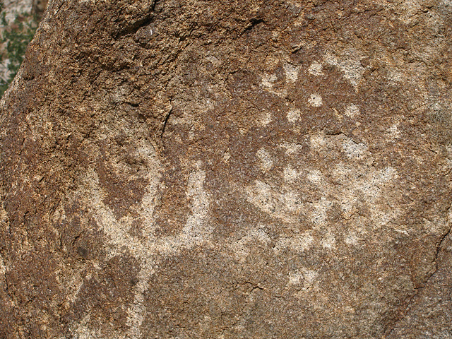 Petroglyphs (104820)