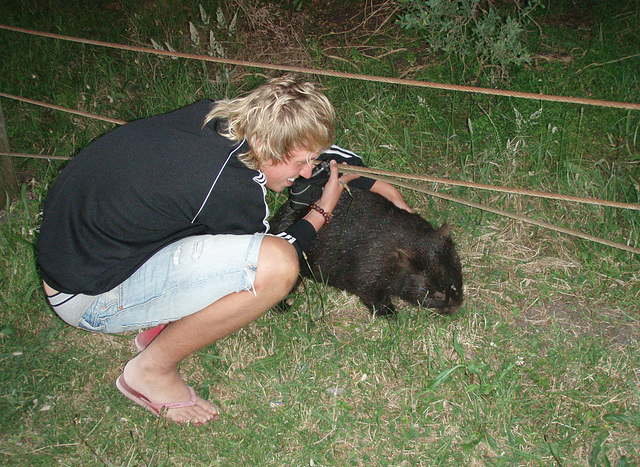 Nick coaxing the wombat...