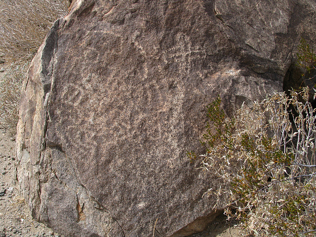 Petroglyphs (113617)