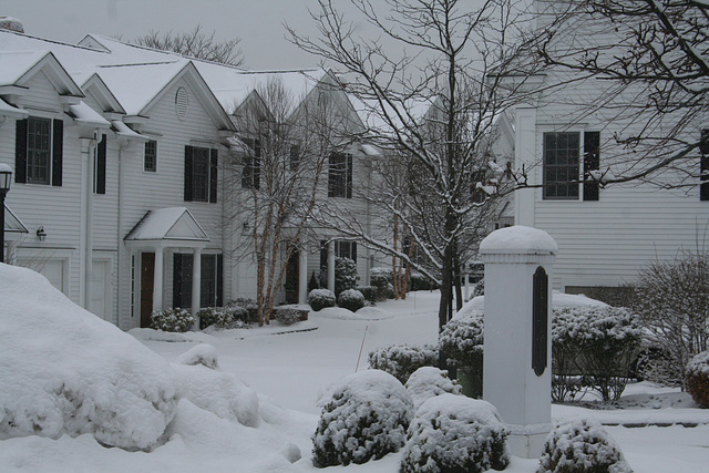 Town Houses