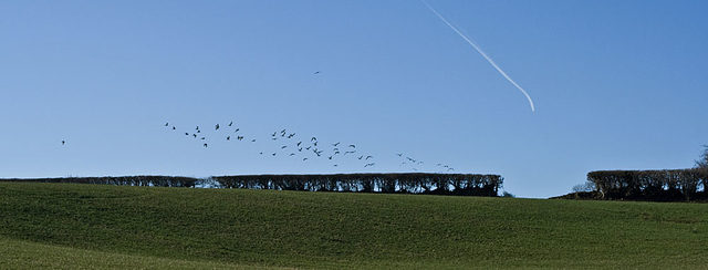 winter horizon