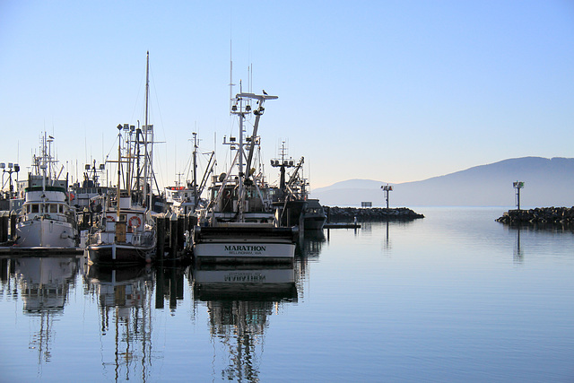 Bellingham Harbor