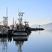 Bellingham Harbor