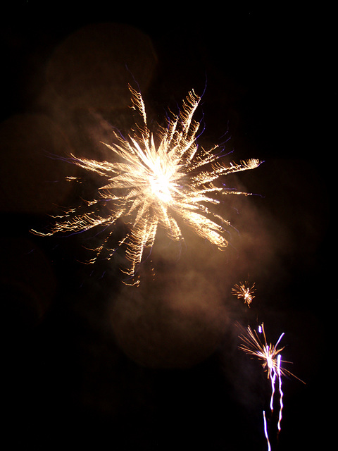 fireworks on the Waratah foreshore