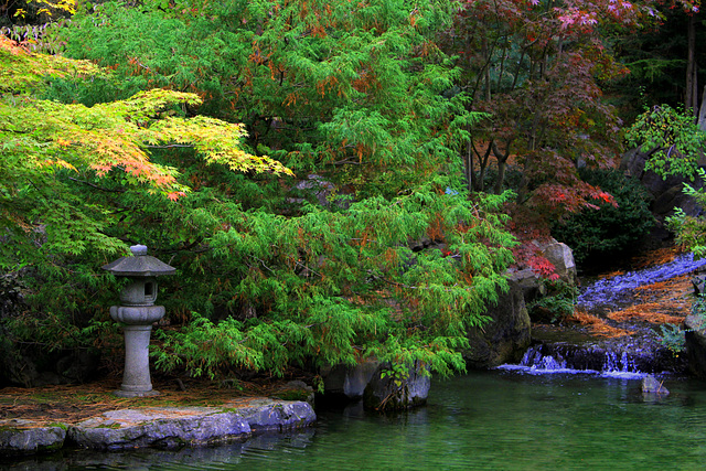 Japanese Gardens