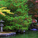 Japanese Gardens