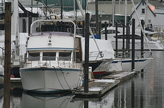 New Year's Day Maritime View