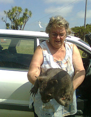 Boris the baby wombat & Maureen