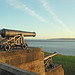Cannon over The Tyne