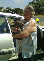 Boris the baby wombat & Maureen