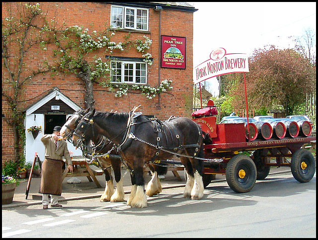 dray horses at the Pear Tree Inn