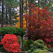 Nishinomiya Tsutakawa Japanese Garden