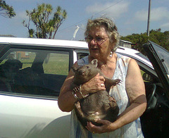 Boris the baby wombat & Maureen