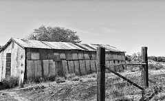 Mule Barn