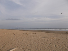 Plage panaméenne / Panamanian beach / Playa tranquila de Panama.