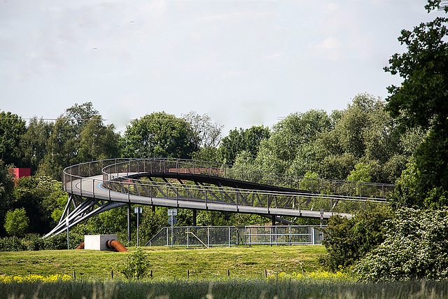 20140519 3393VRAw [D~OB] Brücke, Ripsdorfer Wald
