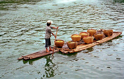 Bamboo Raft