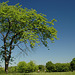 Beckenham Place golf course