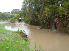 Fish Creek flooding again