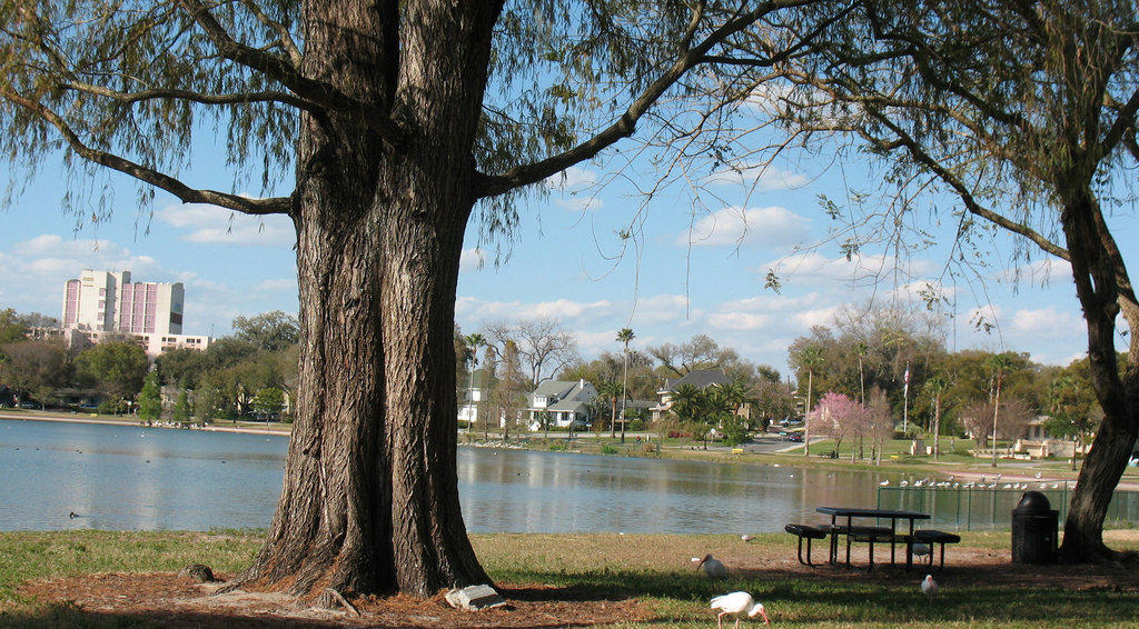 Picnic