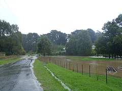 Fish Creek flooding again