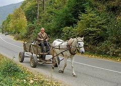 Eco-friendly Transport