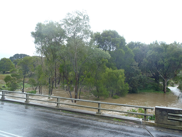 Fish Creek flooding again