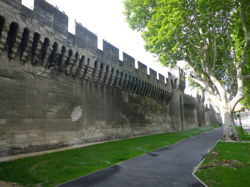 IMGP2008