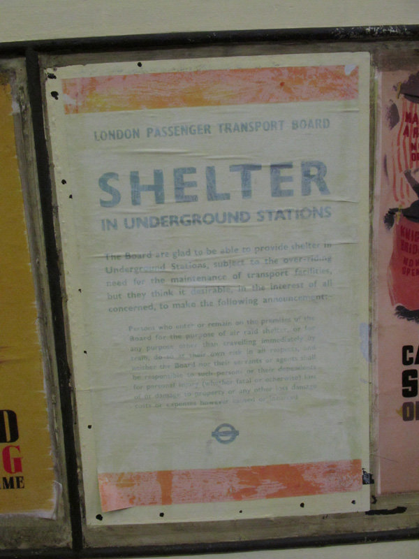 Shelter