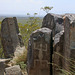 Three Rivers Petroglyphs (3250)