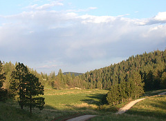Lincoln National Forest 3230a Lincoln National Forest 3230a