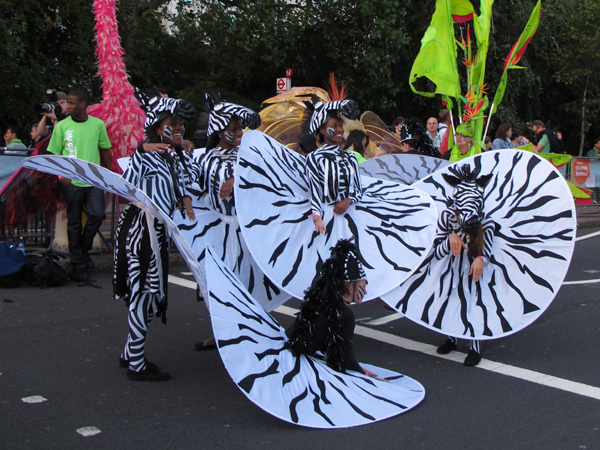 Zebra stripes