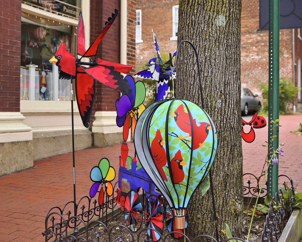 The State Bird – William Street at Princess Anne Street, Fredericksburg, Virginia