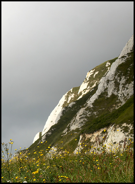Samphire Hoe NR