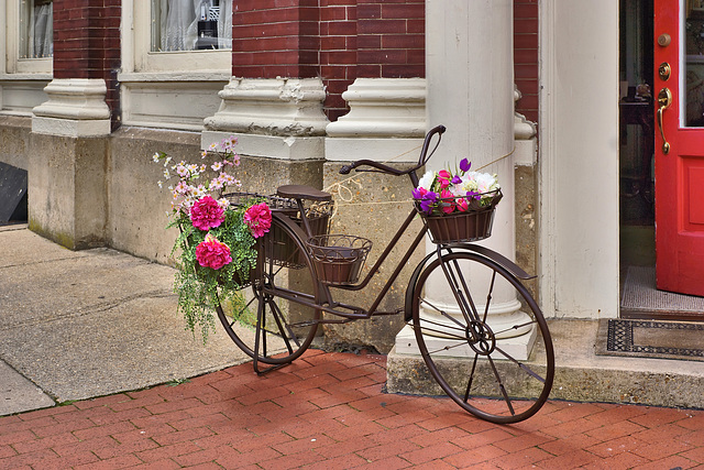 Petal Pushers – Corner of Princess Anne and William Streets, Fredericksburg, Virginia