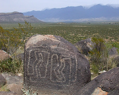 Three Rivers Petroglyphs (3245)