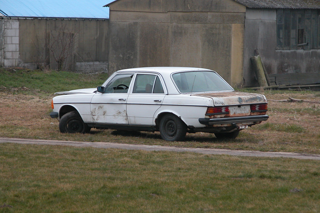 Mercedes-Benz W123-300D on its final resting place