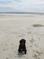 at Sandy Point with Sue & Ella