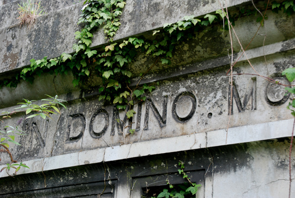 N DOMINO. MO