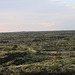 Carrizozo Valley of Fires, NM lava flow 3280a