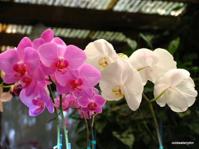 img 1414 img 1414