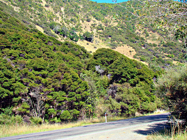 Roadside