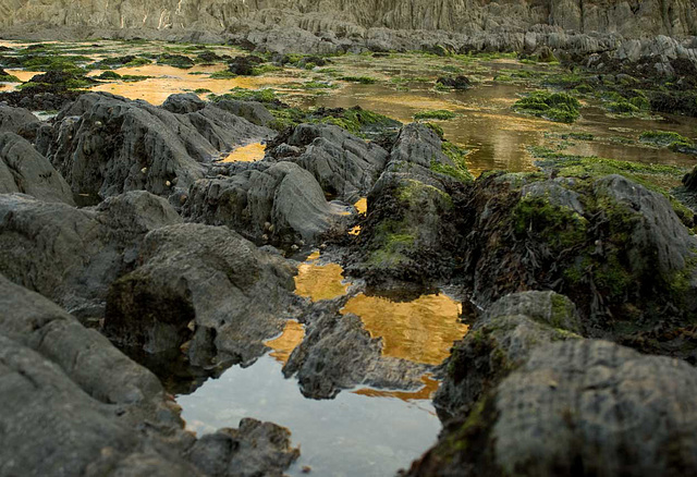 Golden rockpools