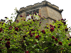 holy trinity church, brompton rd., london,detail of s.e.porch, prob. blomfield 1879-82