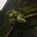 holy trinity church, brompton rd., london,detail of north chapel, 1920-4, by a.blomfield jnr.