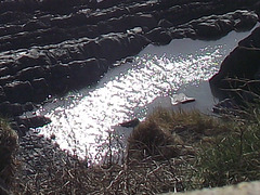 DSCF0369