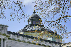 The Dome of the Library of Congress – Capitol Hill, Washington, DC