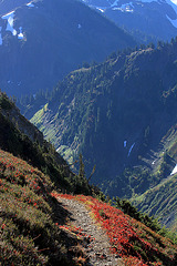 Trail to Pleiades Overlook